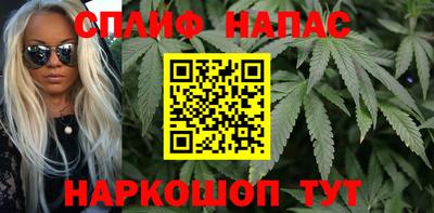 гидра Вышний Волочёк