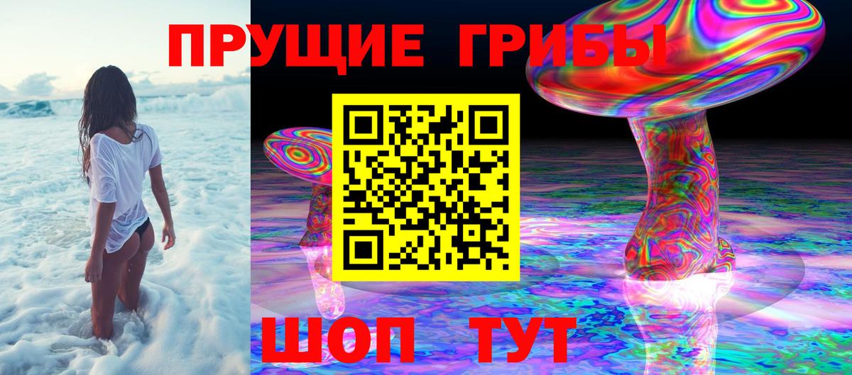 Псилоцибиновые грибы Psilocybine cubensis Ангарск